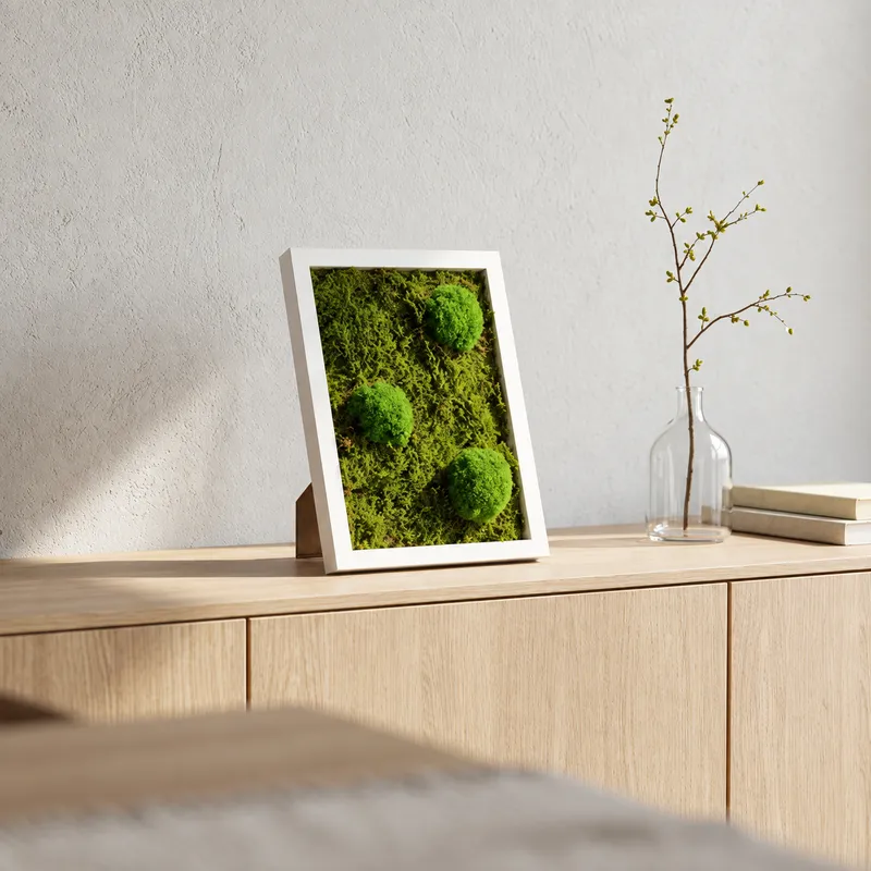 Selbstgestaltetes Moos- und Pflanzenbild im weißen Rahmen auf einer Holzkommode