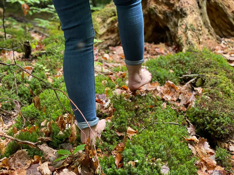 Barfußige Teilnehmende gehen beim Waldbaden-Event über Moos und Laub im Wald